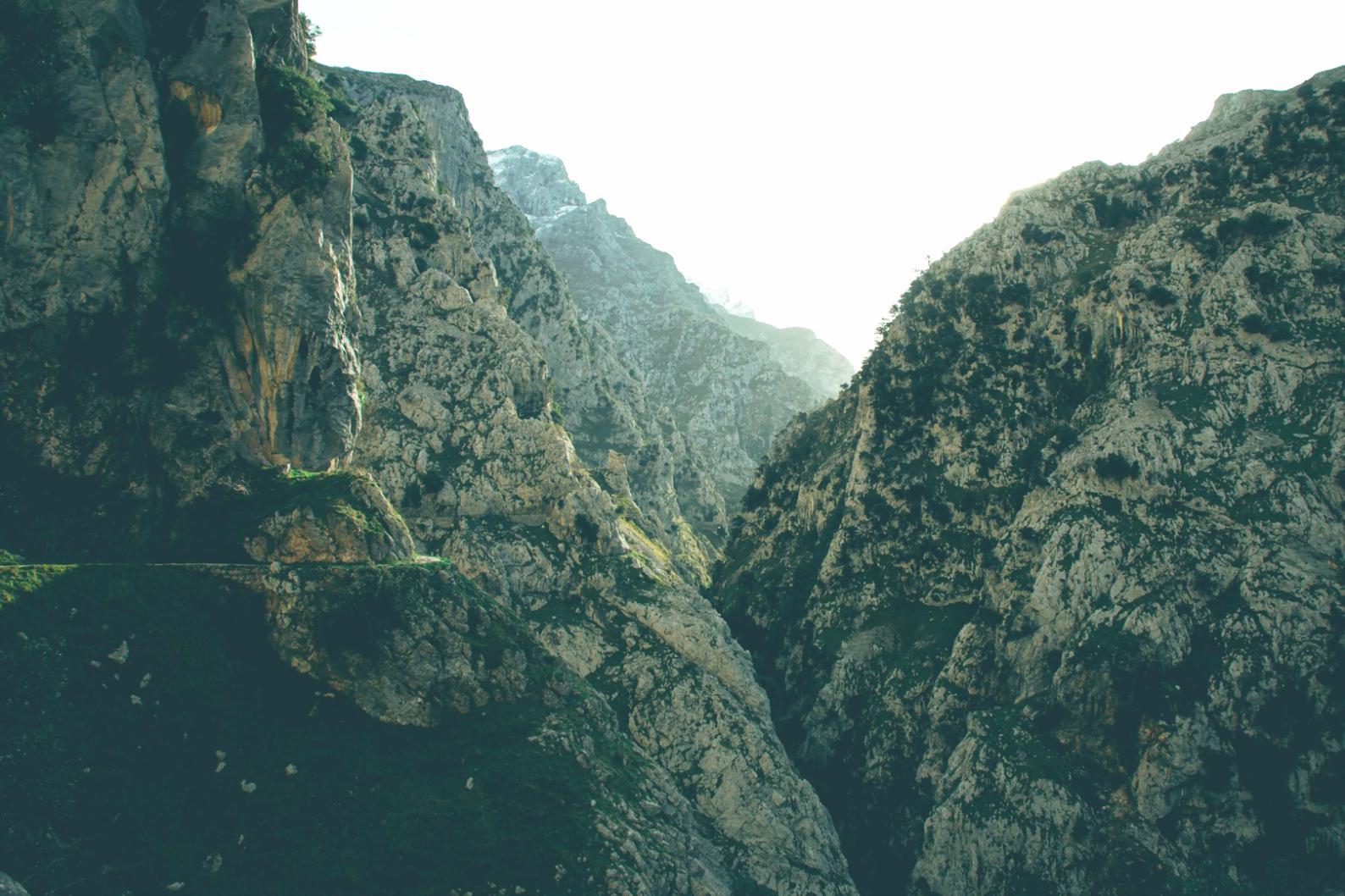 Освітній простір для розвитку професійних навичок у сфері туроператорської діяльності